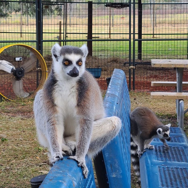 Exotic Bird Interactions That Showcase Intelligence