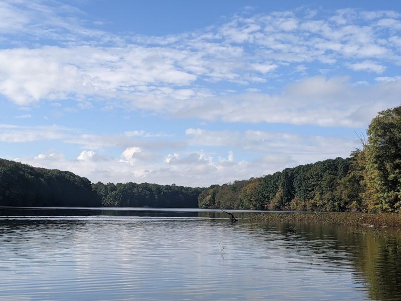 Knox Lake Wildlife Area, Fredericktown