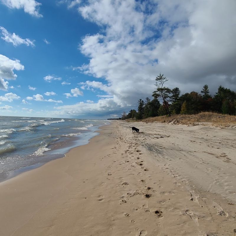 Kohler-Andrae State Park Beach