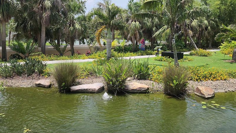 Koi Ponds And Backpack Adventures