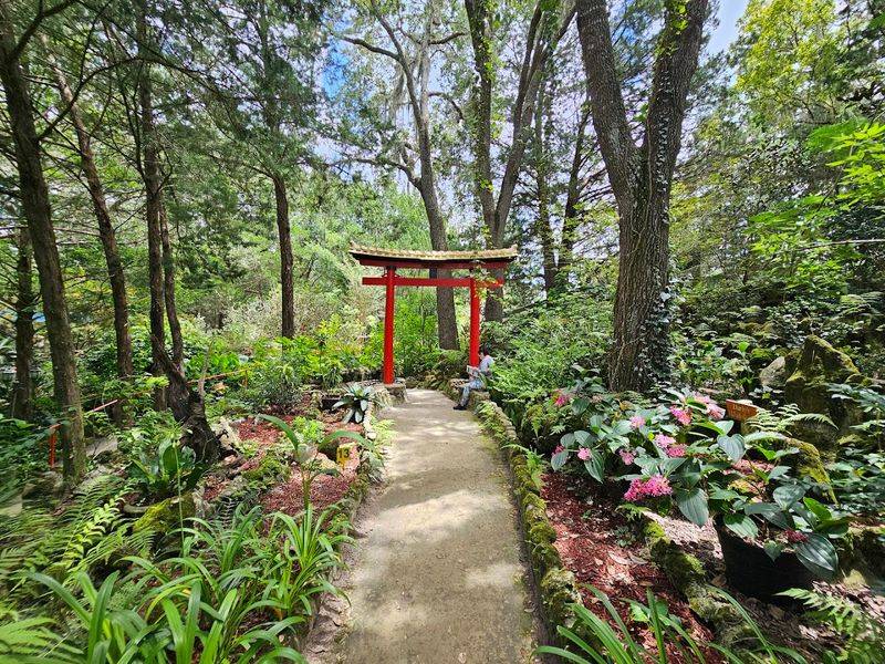 Botanical Diversity That Reads Like a World Tour