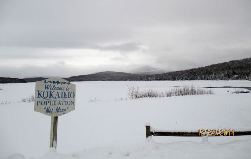 Kokadjo