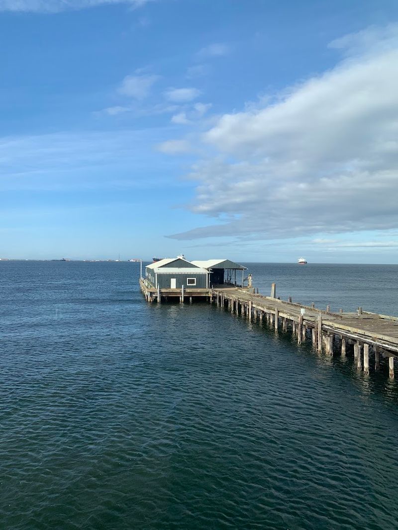 Downriggers On The Water