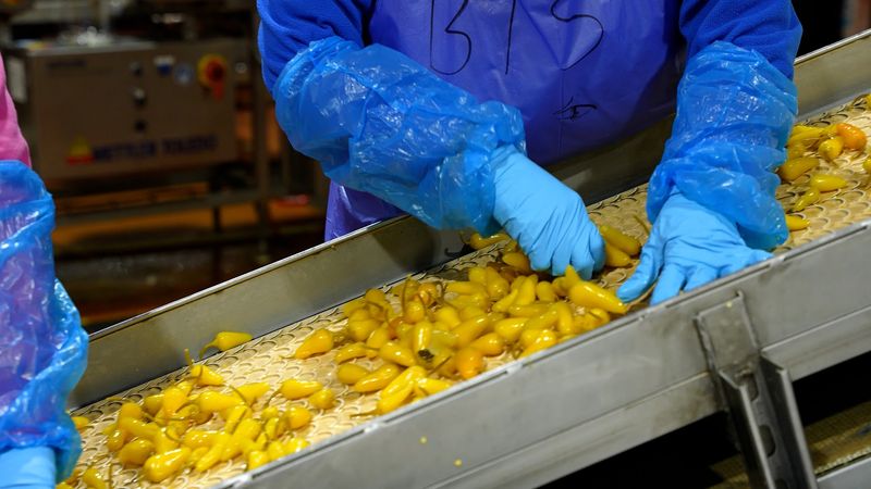 Peppers That Pack A Seriously Fun Punch