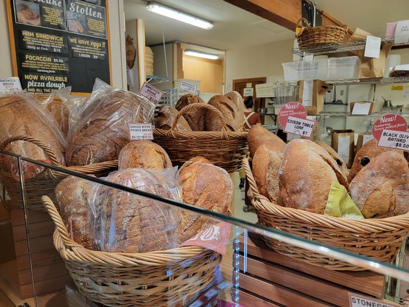 The Sourdough That Rewrote My Sandwich Plans