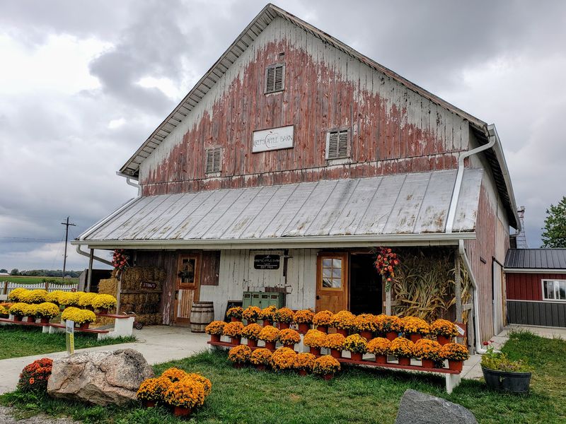 Kreps Apple Barn & Cider Mill