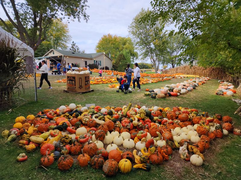 Kroll's Fall Harvest Farm