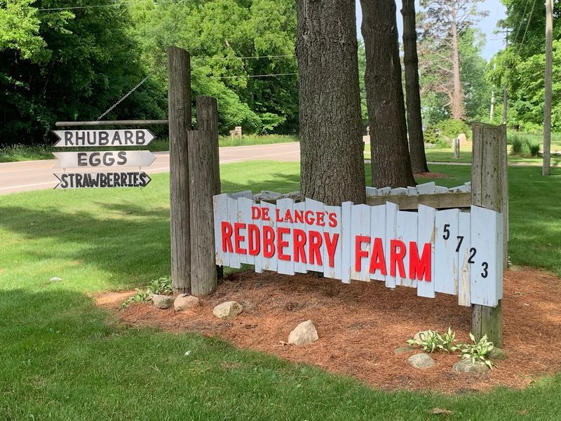DeLange’s Redberry Farm, Hudsonville