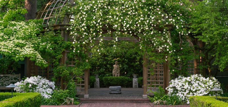 Lakewold Gardens, Lakewood, WA