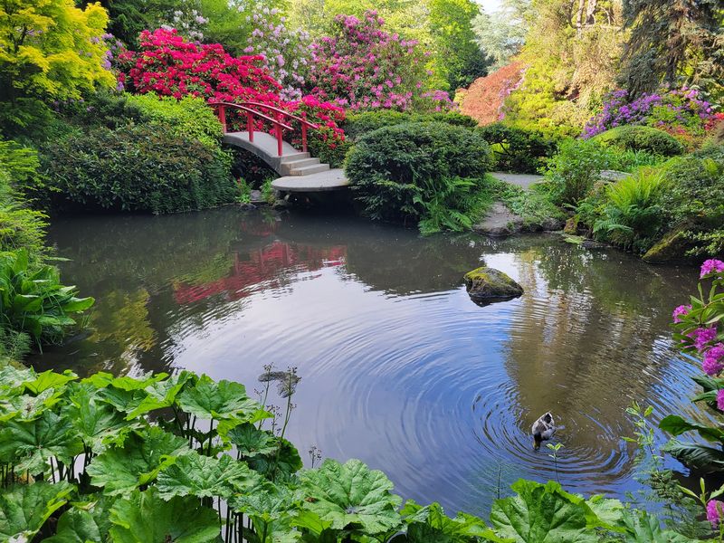 Kubota Garden, Seattle Kubota Garden, Seattle