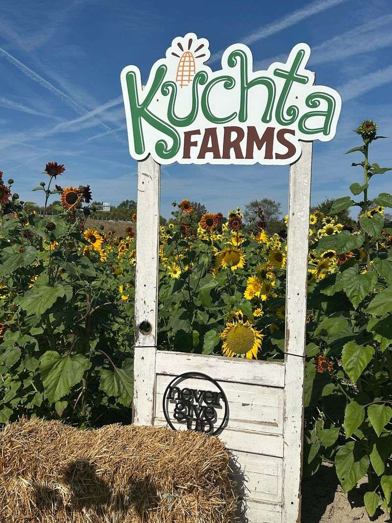 Kuchta Farms, Newton Falls