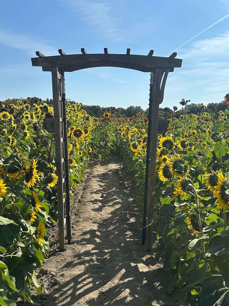 Kuchta Farms, Newton Falls