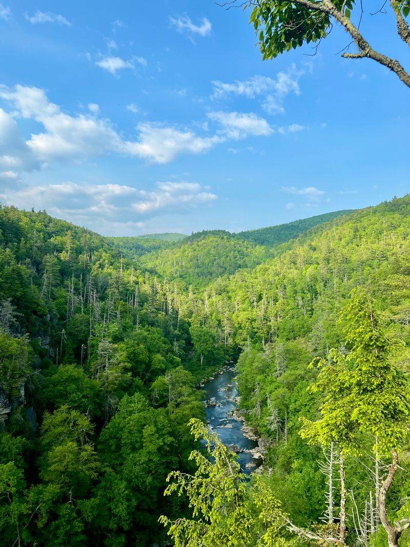 Linville Gorge & Linville Falls