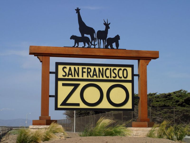 San Francisco Zoo Lights, Sloat Blvd & Upper Great Hwy, San Francisco, CA 94132