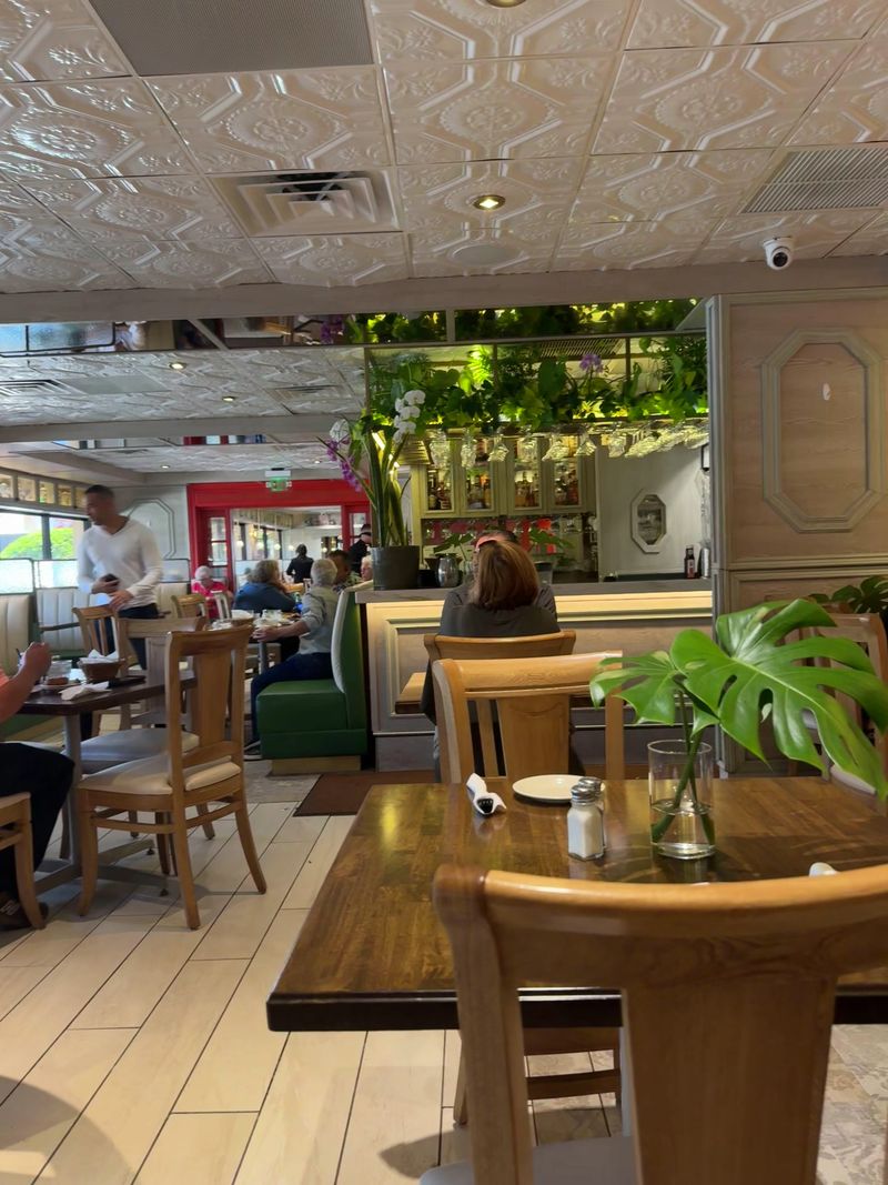 Islas Canarias — Miami