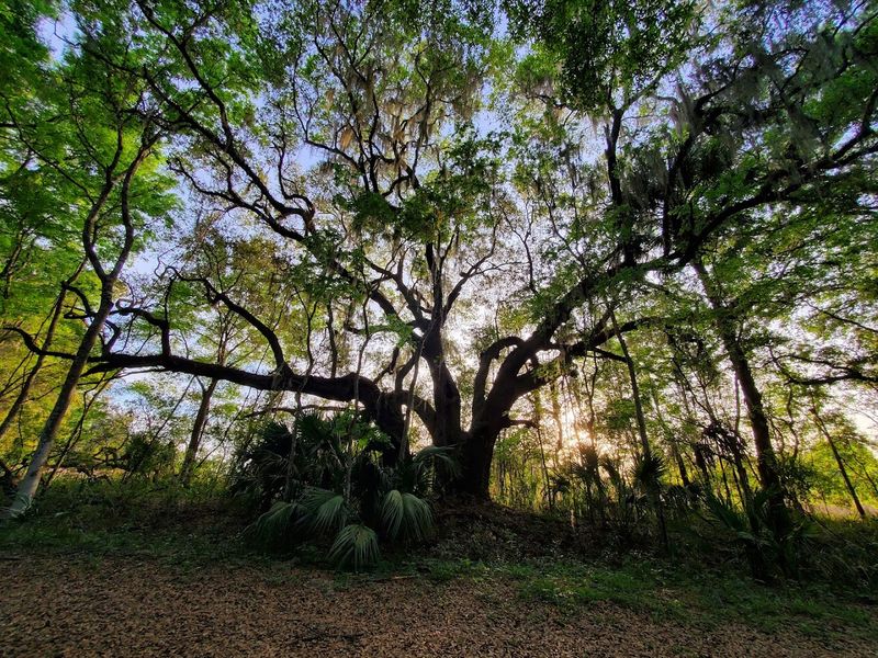 Scenic Overlooks Offering Prairie Vistas