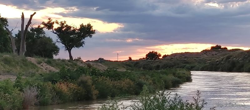La Junta Tarantula Fest, La Junta