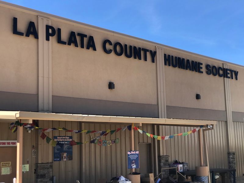 La Plata County Humane Society Thrift Store, Durango