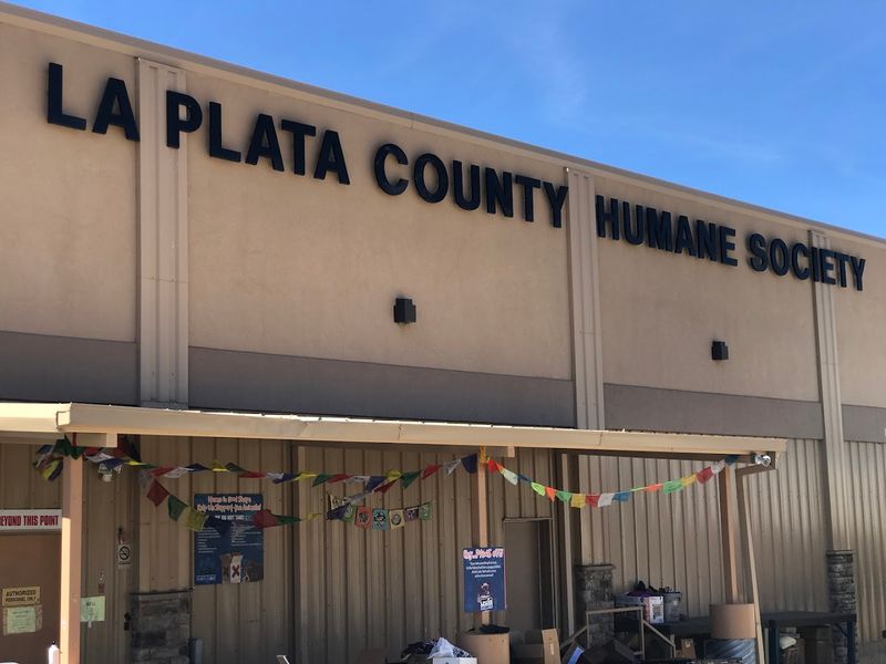 La Plata County Humane Society Thrift Store - Durango