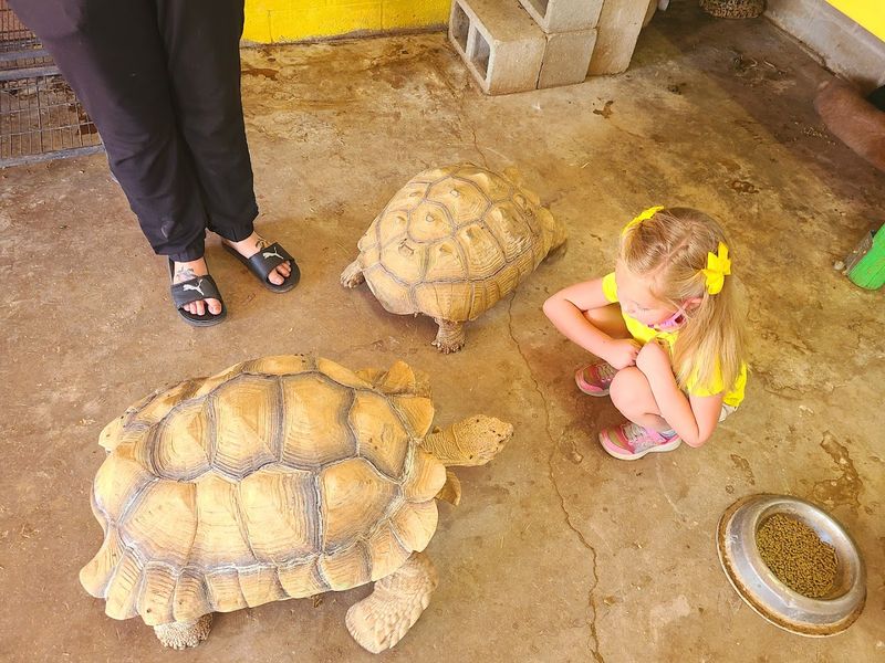 La Posta Quemada Ranch And Family Attractions