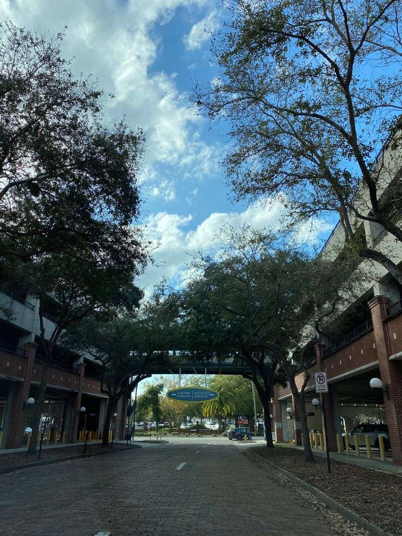 Practical Magic: Parking, Streetcars, And Easy Ways To Roam