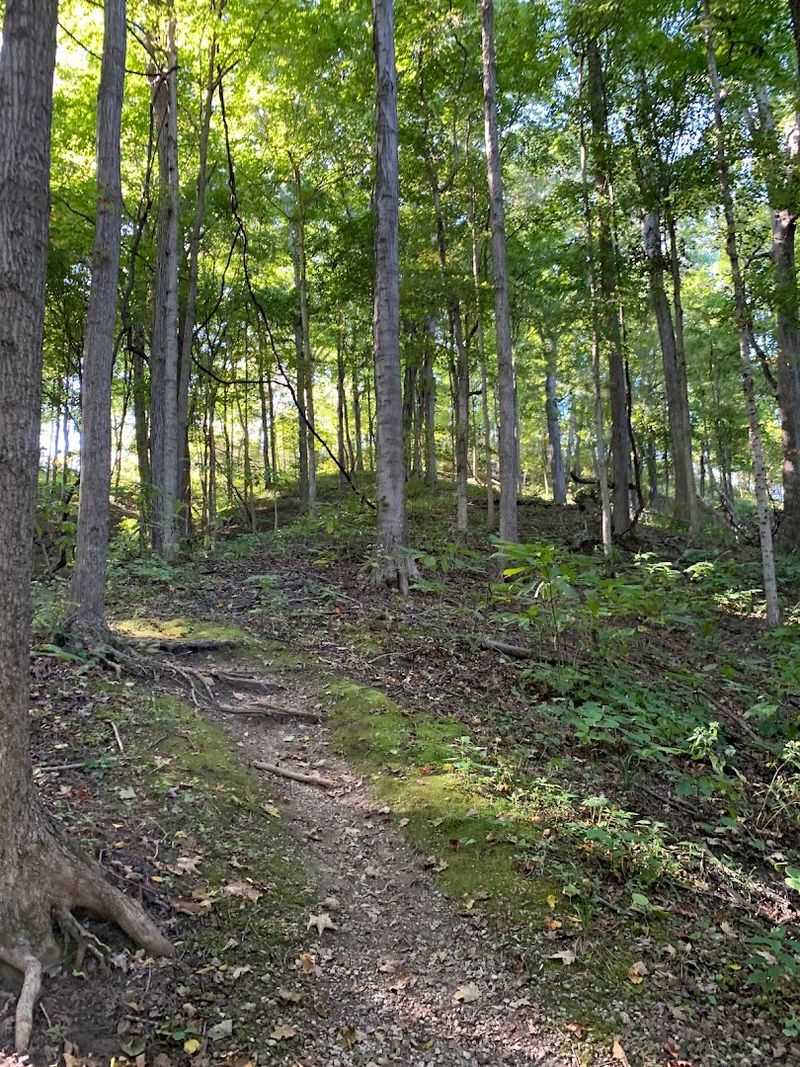 LaRue-Pine Hills Research Natural Area, Wolf Lake LaRue-Pine Hills Research Natural Area, Wolf Lake