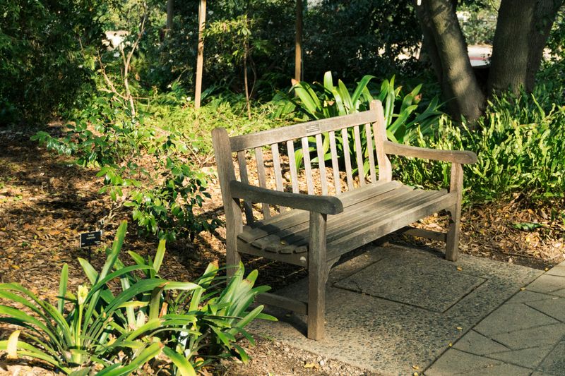 Quiet Benches And Rest Spots
