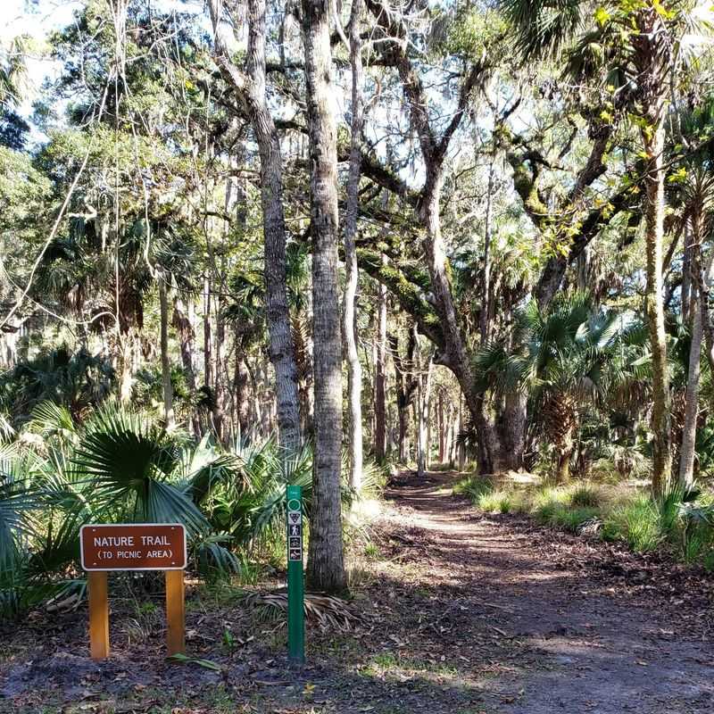 Lace Up For A 6.8-Mile Forest Trek