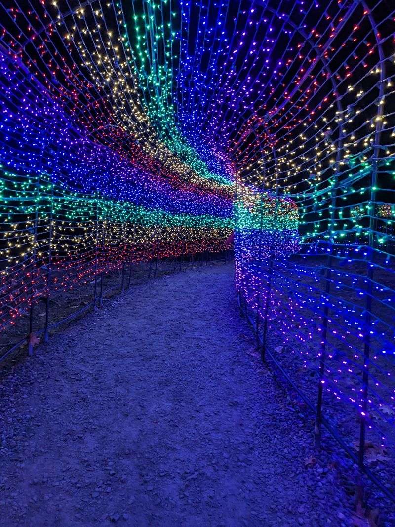 Lace Up For A Mile Of Glowing Trail Lace Up For A Mile Of Glowing Trail