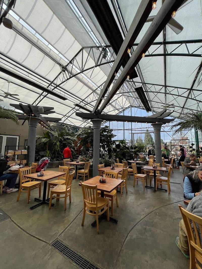 Ladro Coffee and Rishi Tea Worth Savoring Slowly