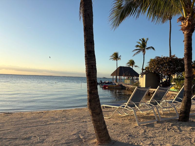 Reefhouse Resort & Marina