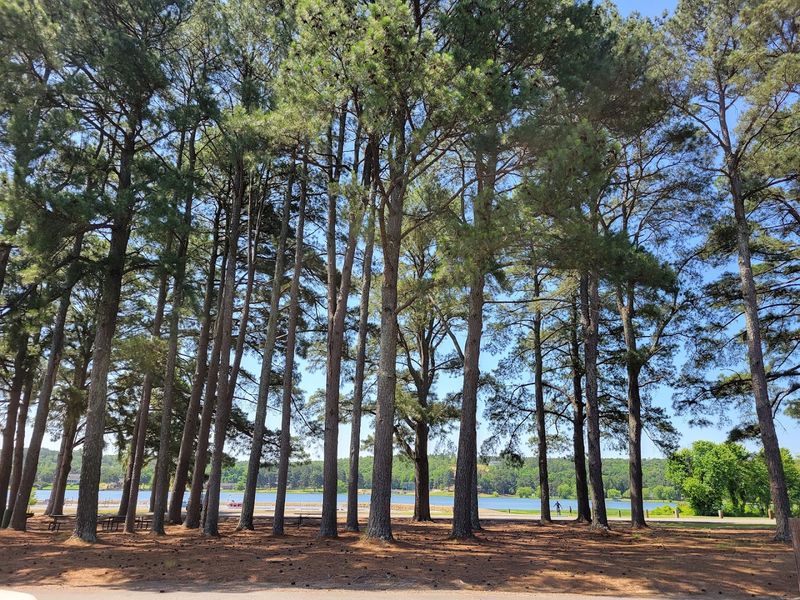 Where The Fun Goes Beyond The Water