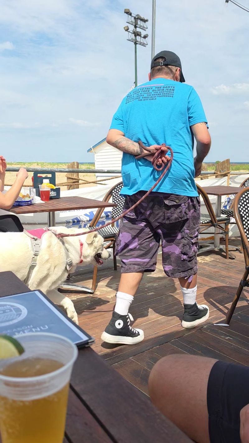 Laid-Back Vibes For Families And Four-Legged Friends
