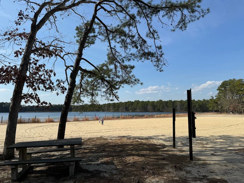 Lake Absegami At Bass River State Forest