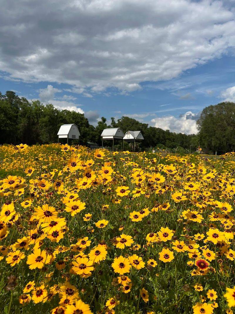 A Community Gathering Unlike Any Other