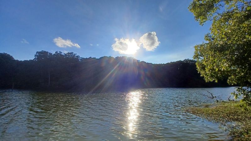 Lake Austell, Wynne