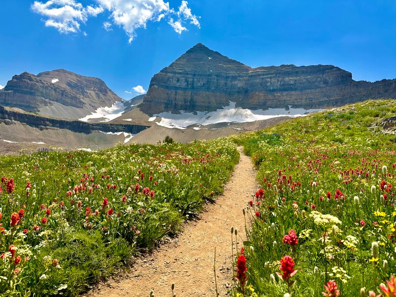 Mount Timpanogos via Timpooneke Trail: American Fork Canyon, Utah
