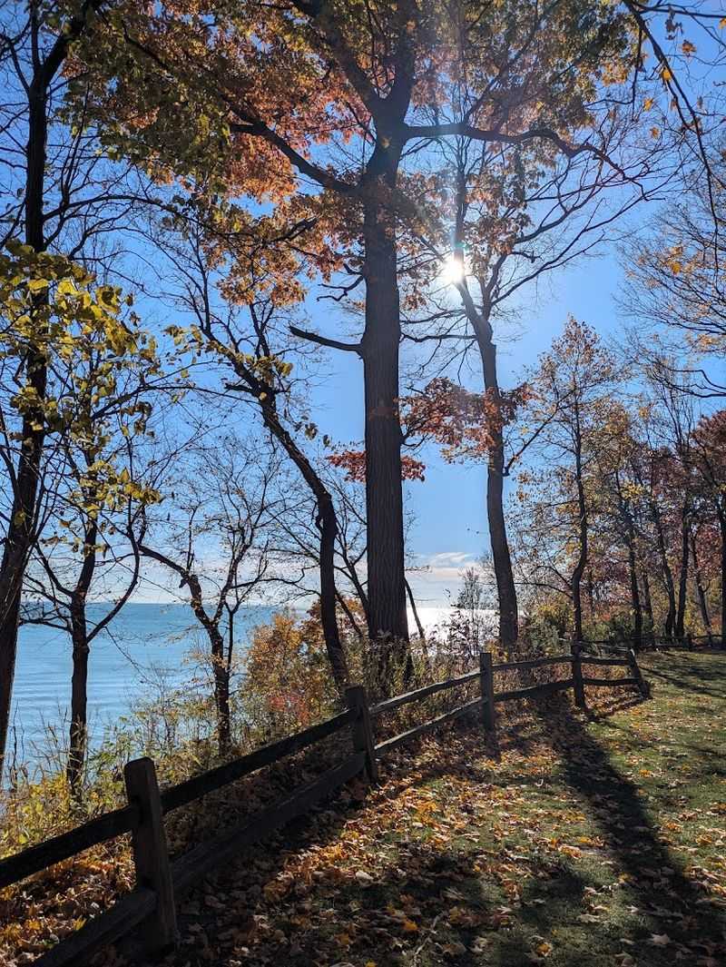 Lake Bluff Steals Part Of The Show Lake Bluff Steals Part Of The Show