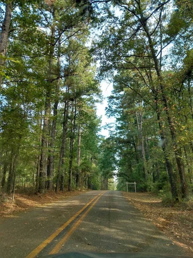 Logoly State Park, McNeil