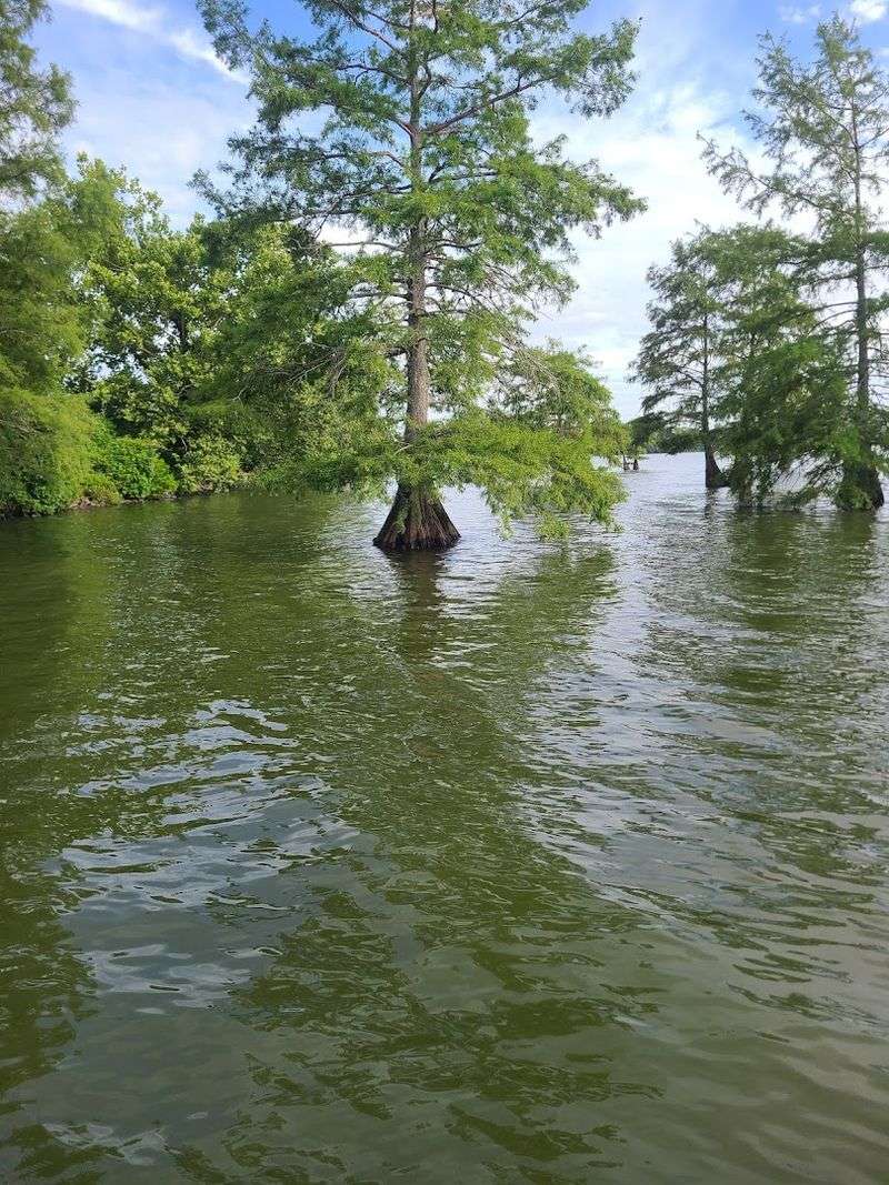Lake Chicot State Park