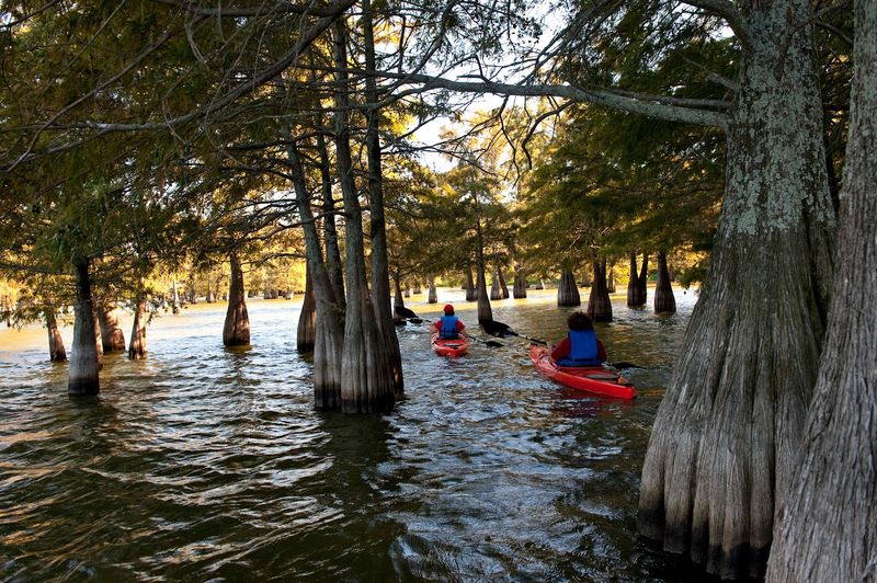 Lake Chicot State Park, Lake Village