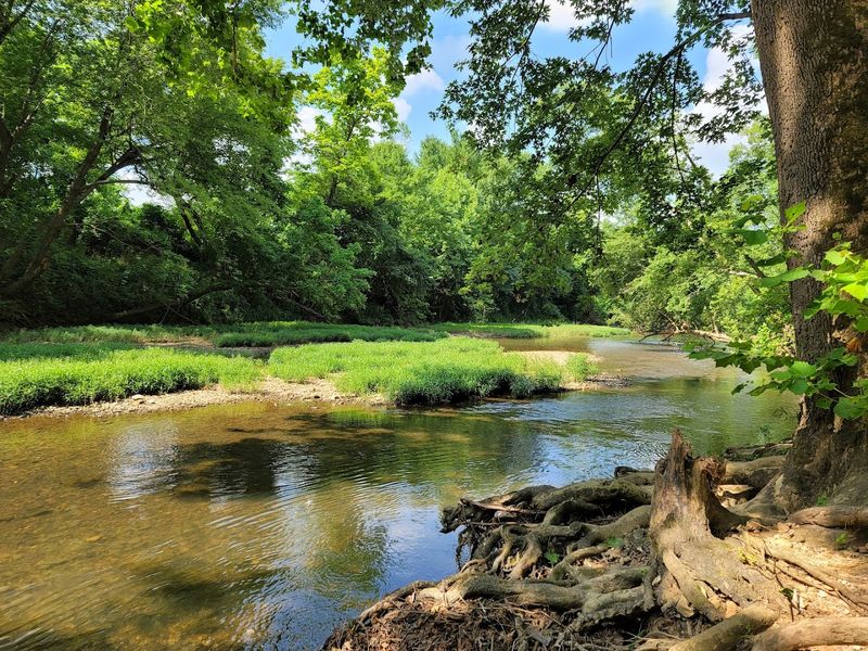 Withrow Springs State Park, Huntsville