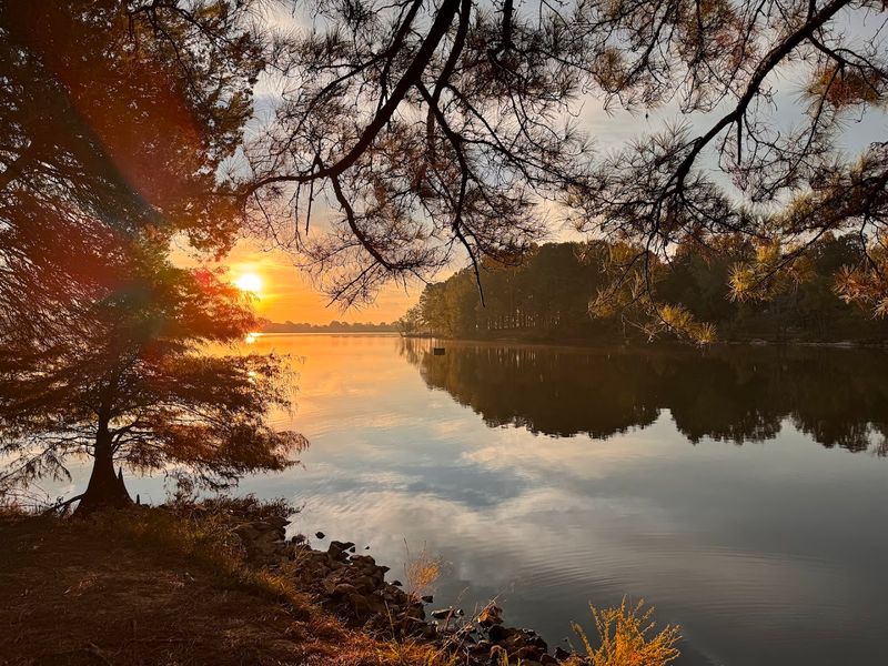 Lake Charles State Park Beach 