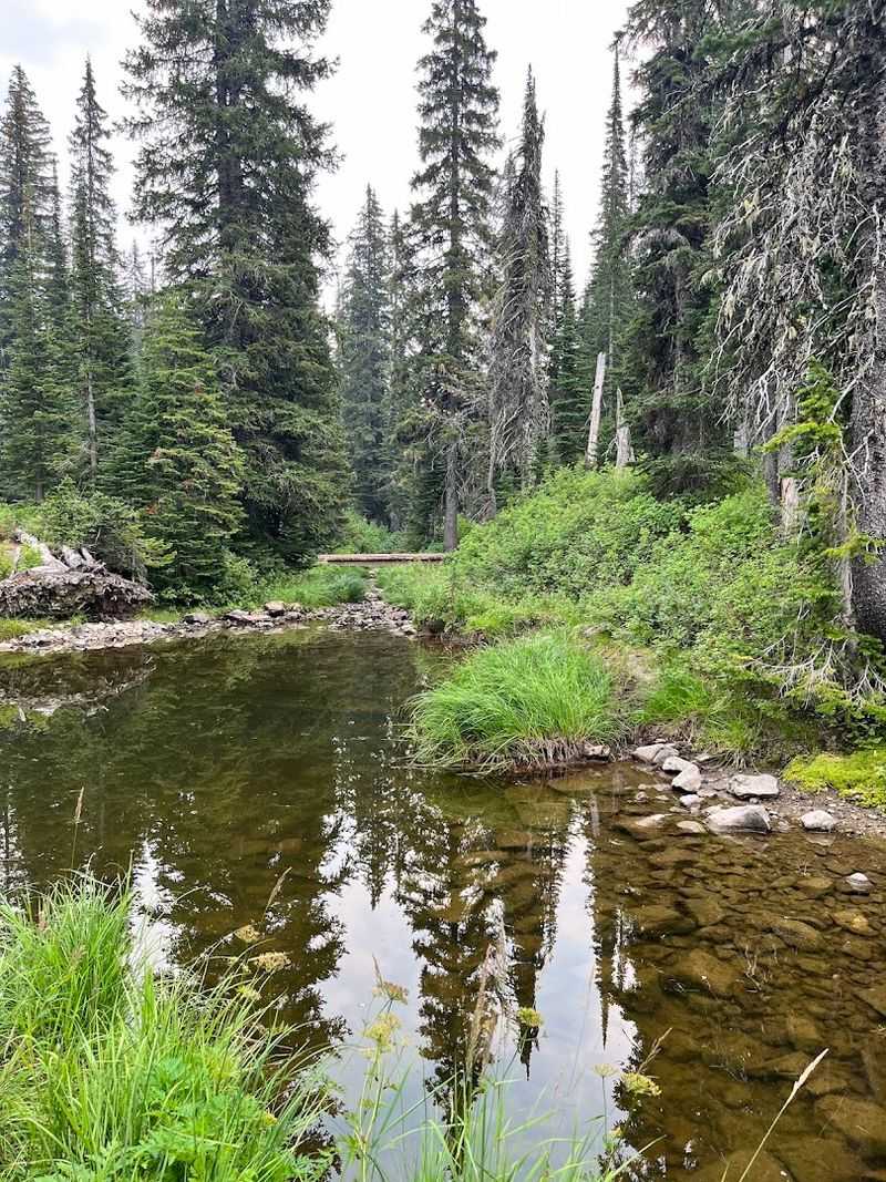 Lake Darling Trail #52, Near Sandpoint
