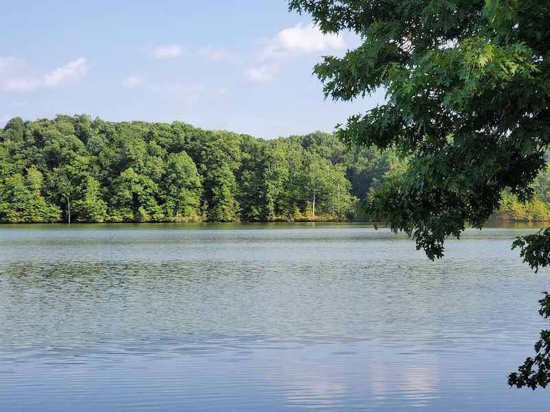 Lake Dunn Trail, Wynne Village Creek State Park