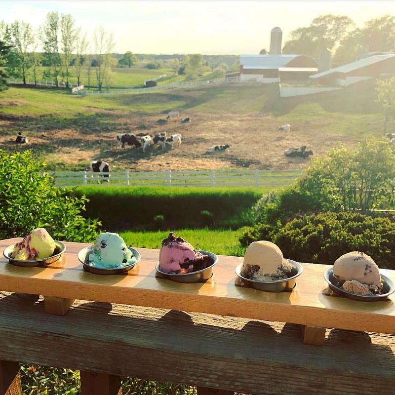 Moomers Homemade Ice Cream – Michigan