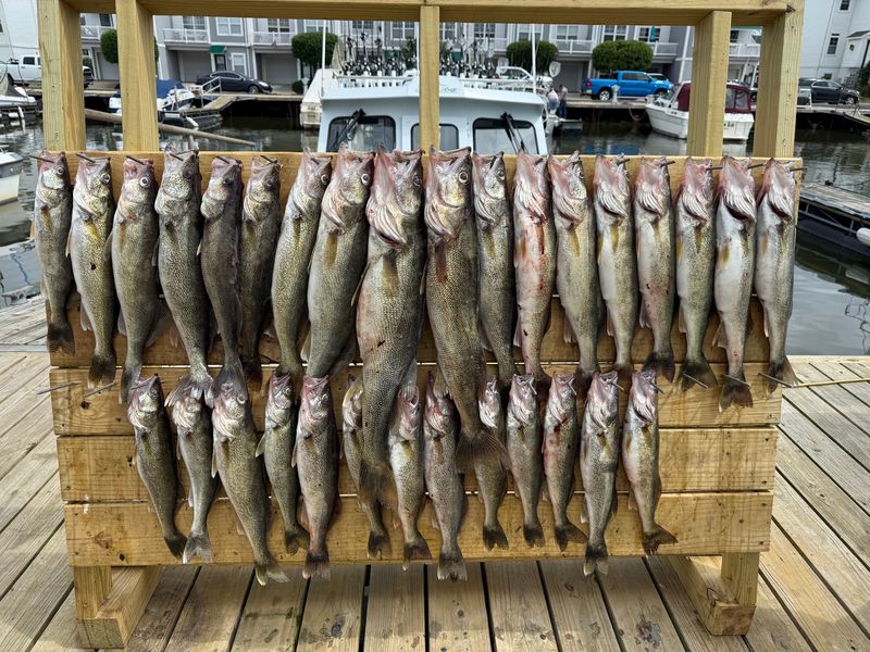 Lake Erie Fishing Runs Strong Lake Erie Fishing Runs Strong