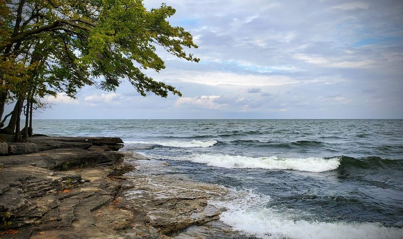 The Rocky Shoreline and What It Feels Like Up Close