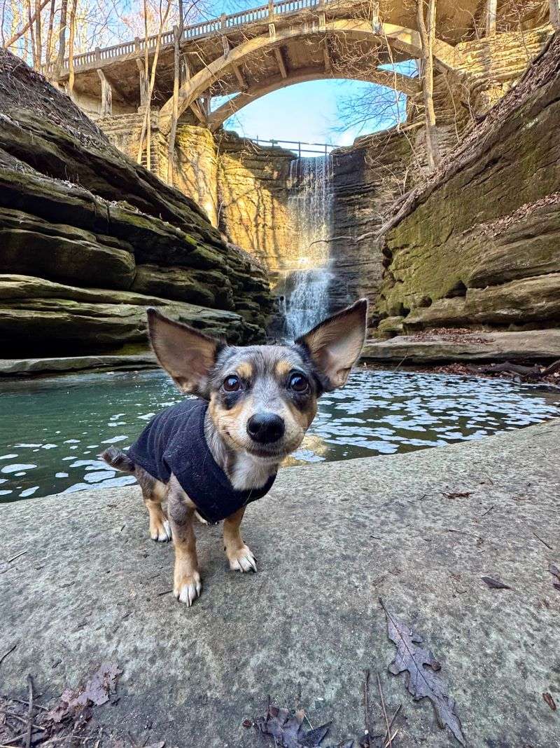 Lake Falls And A Detour Worth Knowing About