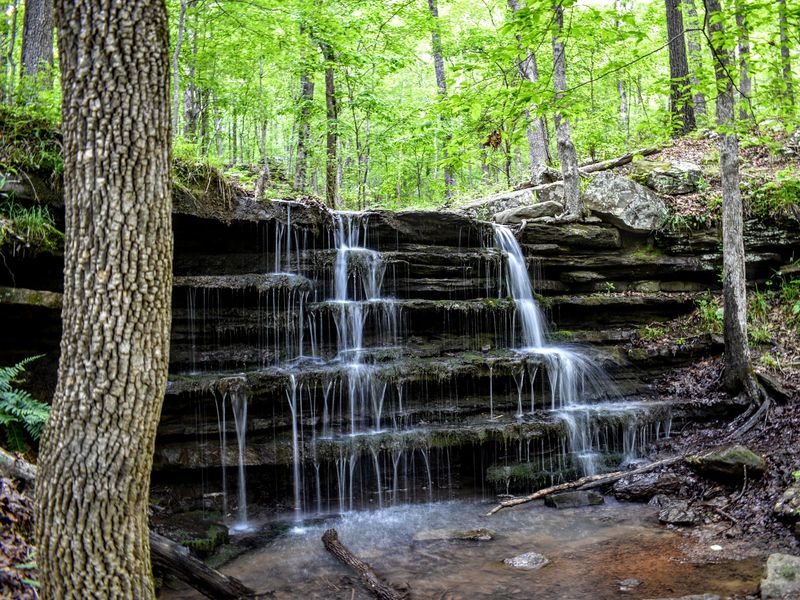 Lake Fort Smith State Park, Mountainburg 